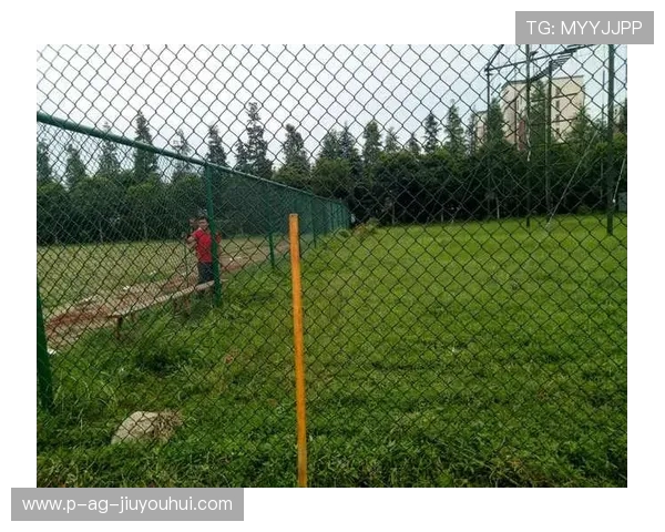 围绕衢州足球围网位置探寻安装采购全攻略指南增强实用参考信息大全