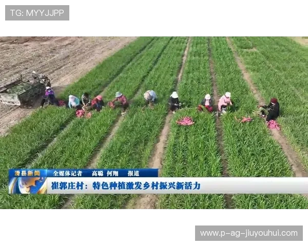 从足球竞技到尿素科学探秘绿色动力助力运动与农业融合发展